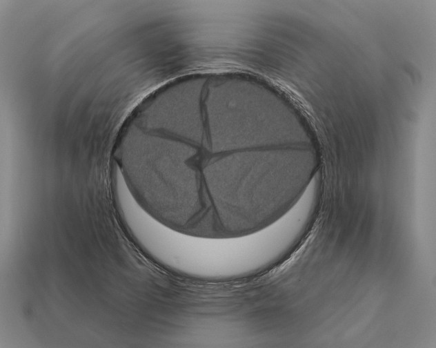 X0000112421457200909251506