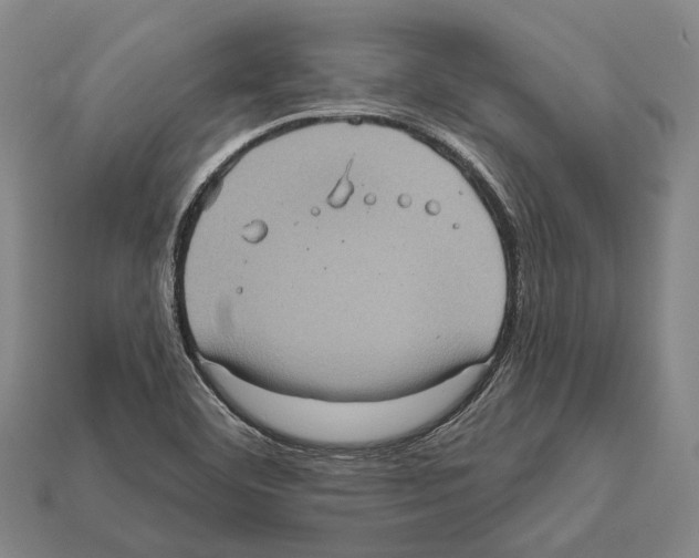 X0000112421460200909251506