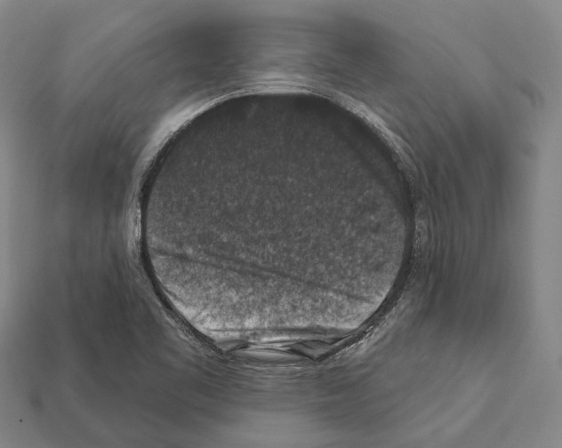 X0000112421461200909251506