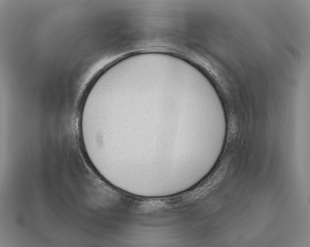 X0000112421462200909251506