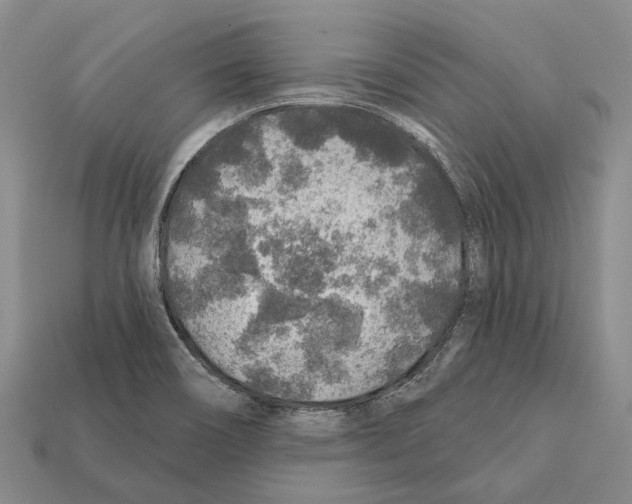 X0000112421466200909251506