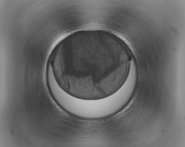 X0000112421469200909251506