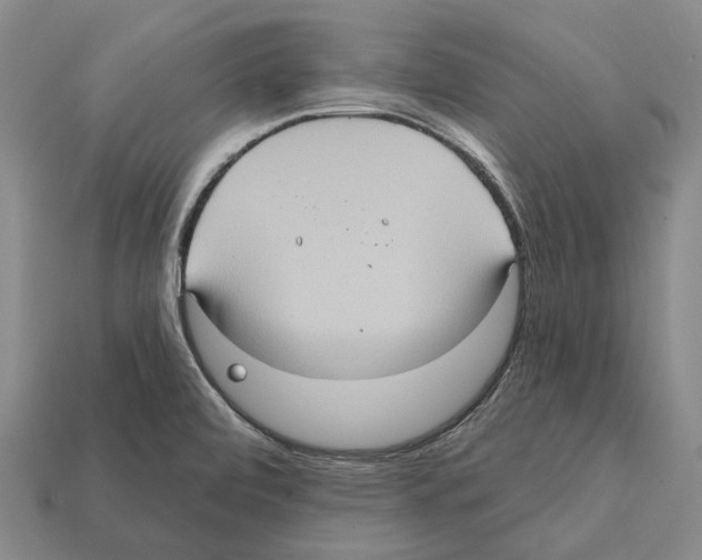 X0000112421472200909251506