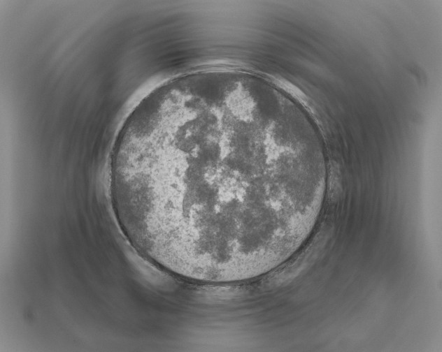 X0000112421474200909251506