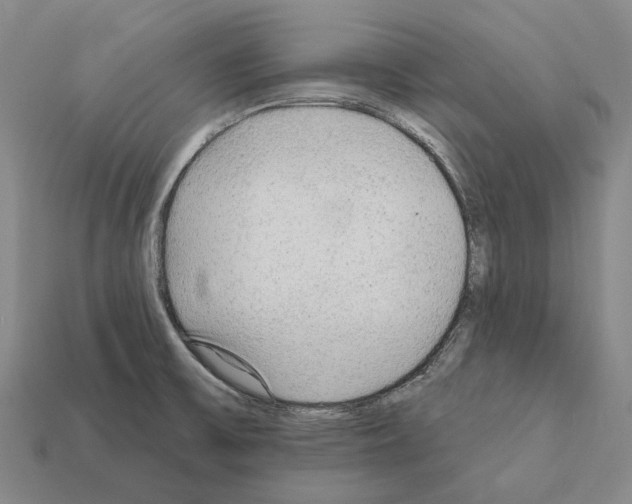 X0000112421475200909251506