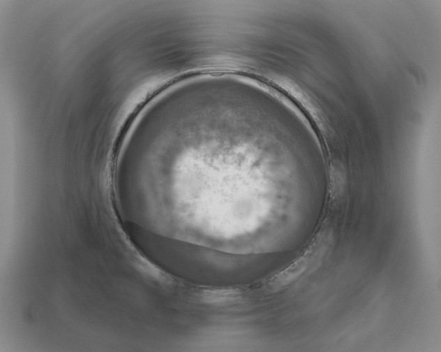 X0000112421477200909251506