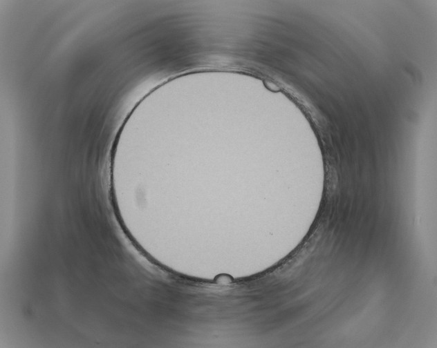 X0000112421479200909251506