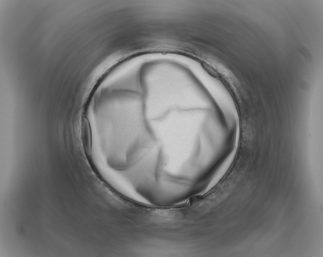 X0000112421480200909251506