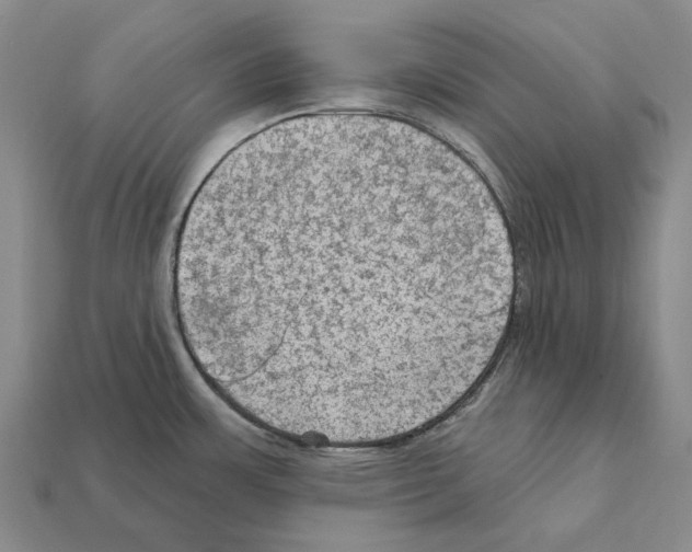 X0000112421483200909251506