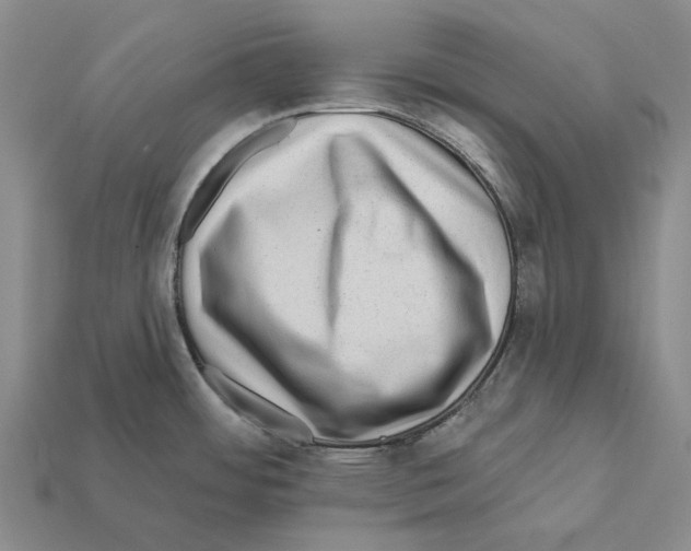 X0000112421484200909251506