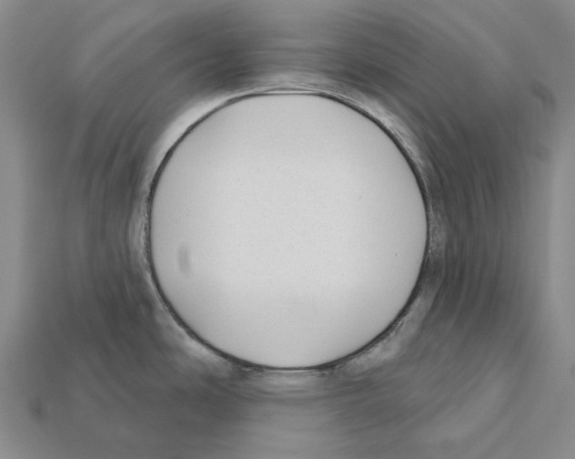 X0000112421486200909251506