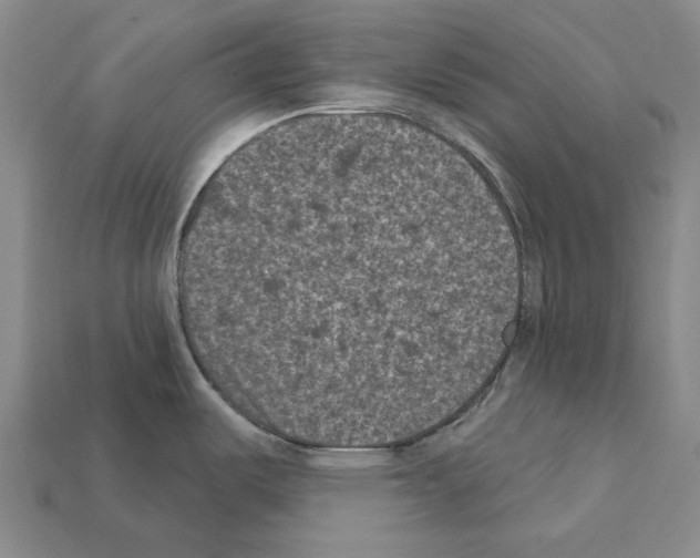 X0000112421487200909251506