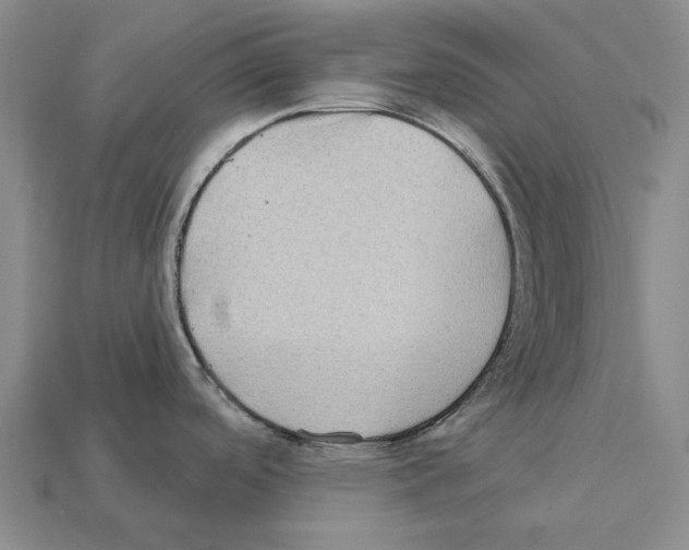 X0000112421488200909251506