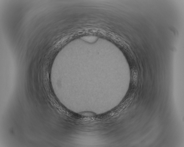 X0000112421489200909251505