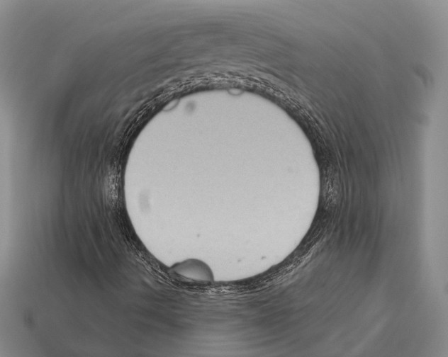 X0000112421490200909251505