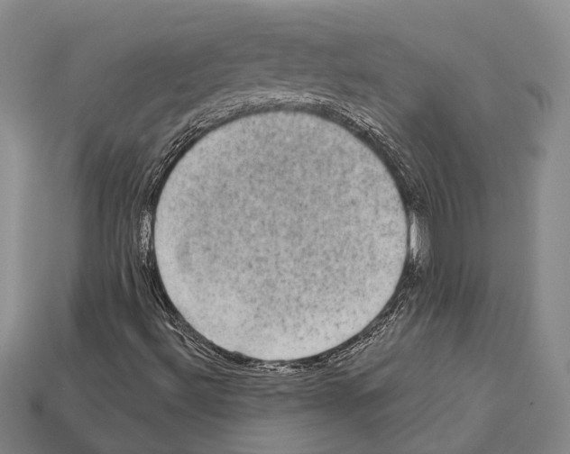 X0000112421492200909251505