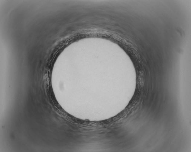 X0000112421493200909251505