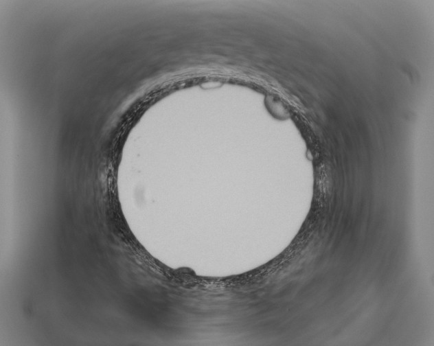 X0000112421495200909251505