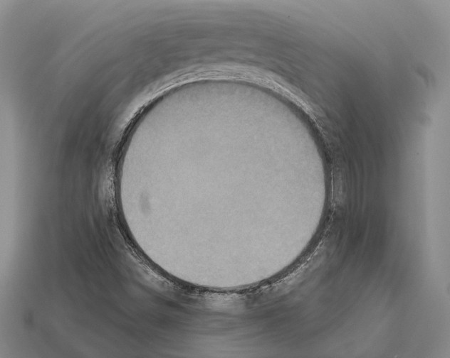 X0000112421498200909251505