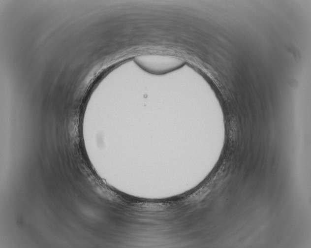 X0000112421499200909251505