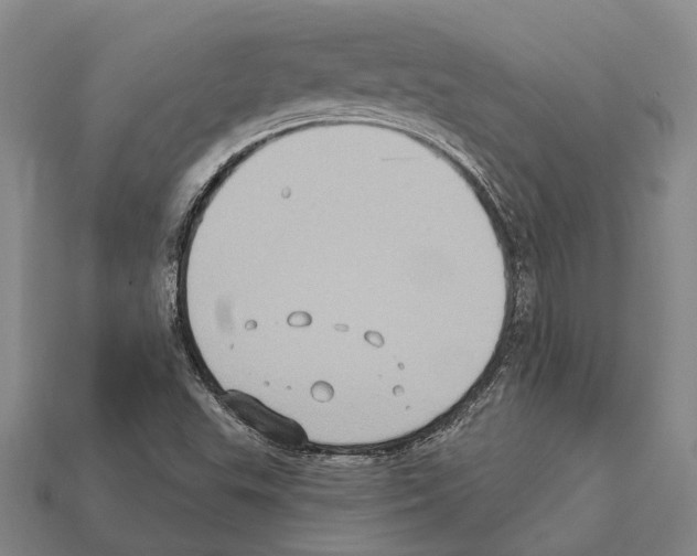 X0000112421503200909251505