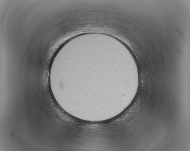 X0000112421507200909251505