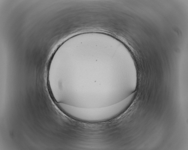 X0000112421508200909251505