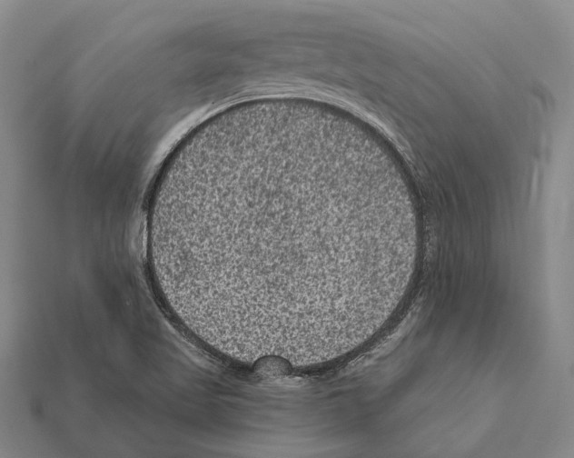 X0000112421509200909251505