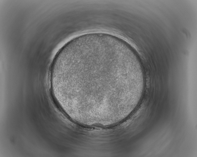 X0000112421510200909251505