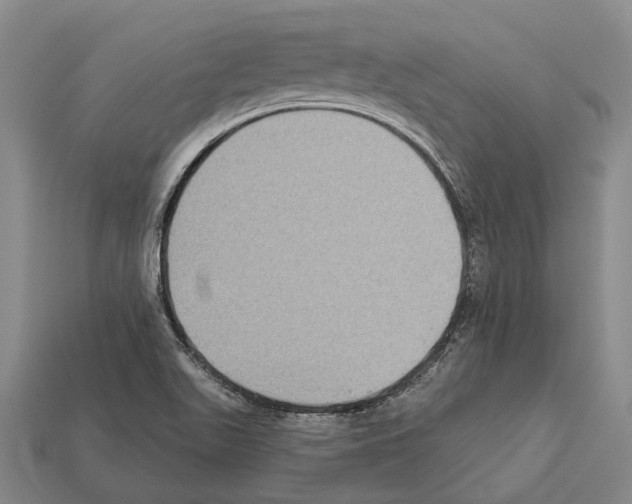 X0000112421511200909251505