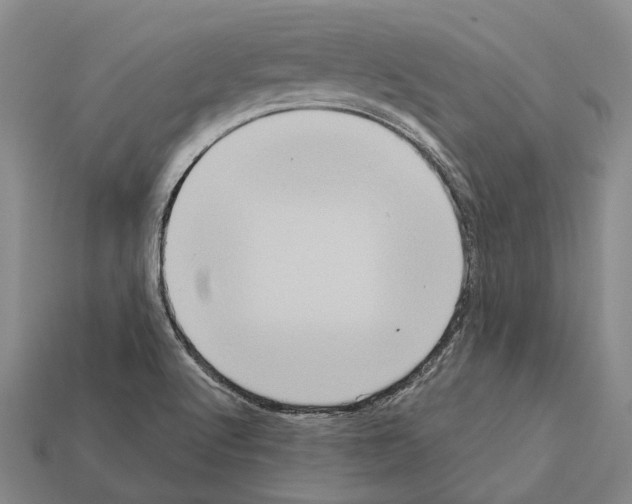 X0000112421512200909251505