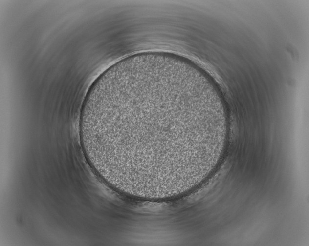 X0000112421513200909251505