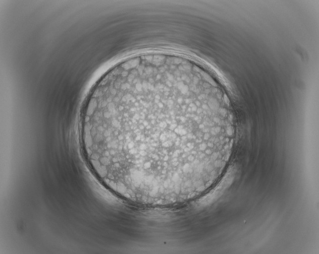 X0000112421514200909251506