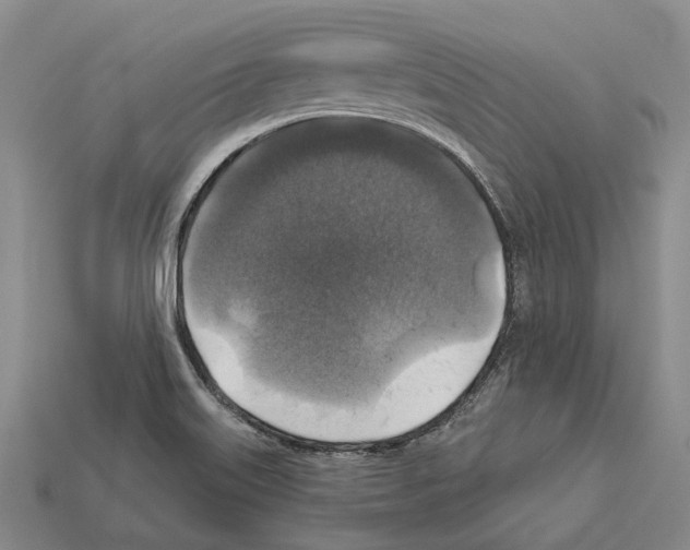 X0000112421515200909251506