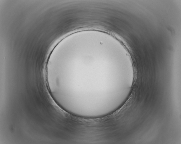 X0000112421516200909251506