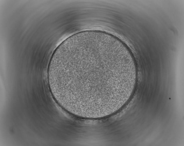 X0000112421521200909251506