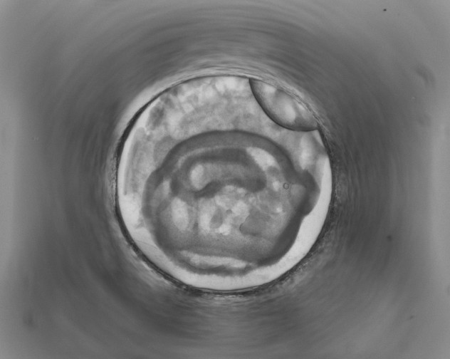 X0000112421522200909251506