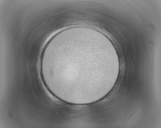 X0000112421523200909251506