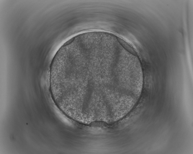 X0000112421524200909251506