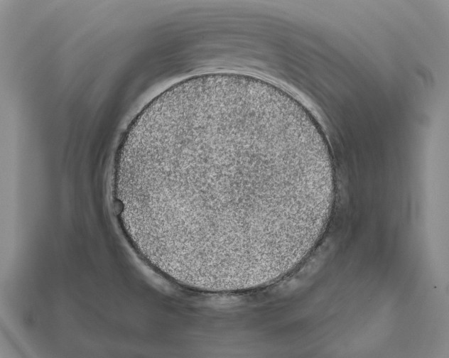 X0000112421525200909251506