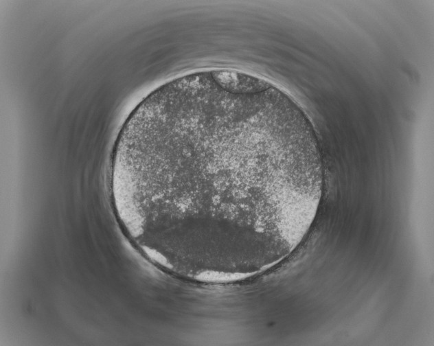 X0000112421527200909251506