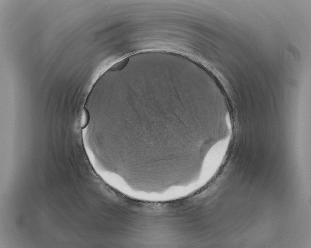 X0000112421529200909251506