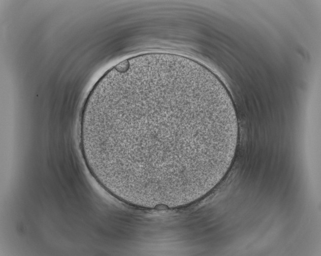 X0000112421531200909251506