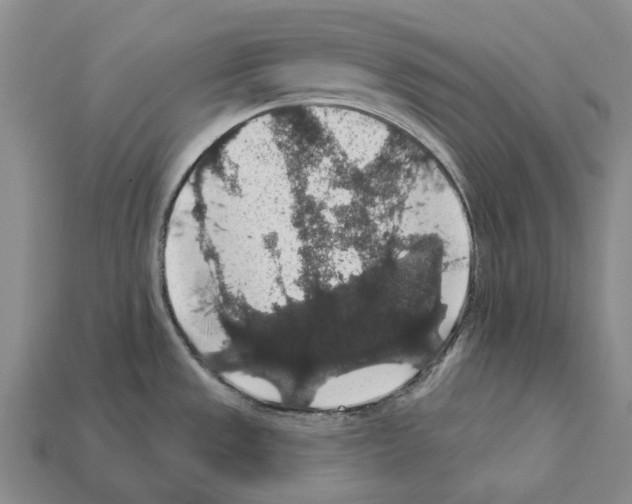 X0000112421533200909251506