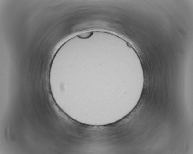 X0000112421534200909251506