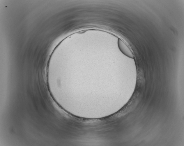 X0000112421535200909251506