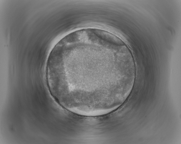 X0000112421536200909251506