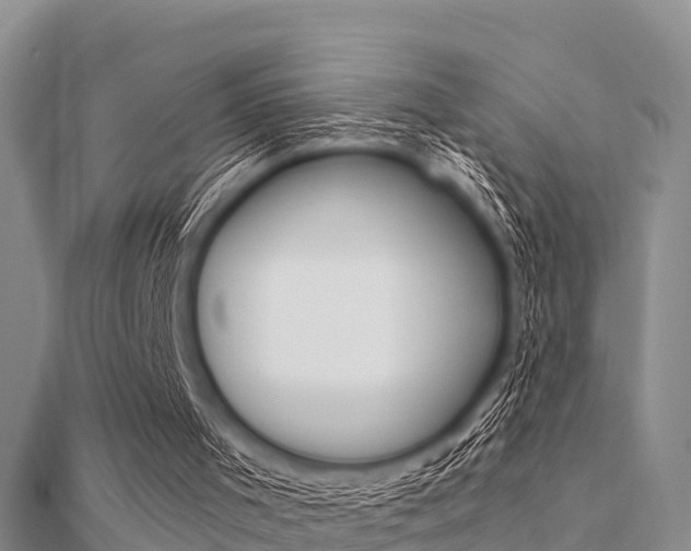 X0000112430001200908141122