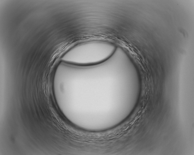 X0000112430002200908141122