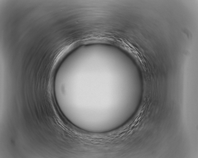 X0000112430003200908141122